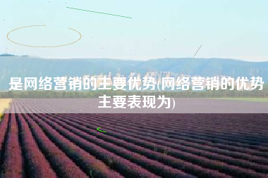 是网络营销的主要优势(网络营销的优势主要表现为)