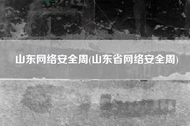 山东网络安全周(山东省网络安全周)
