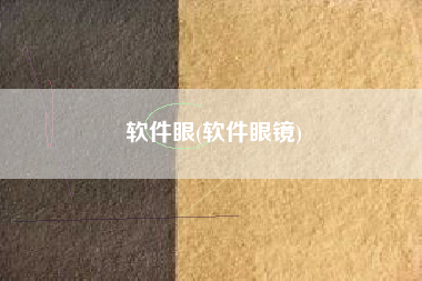 软件眼(软件眼镜)