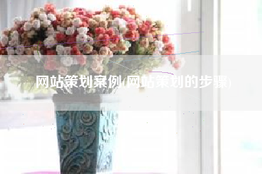 网站策划案例(网站策划的步骤)