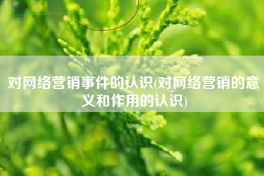 对网络营销事件的认识(对网络营销的意义和作用的认识)