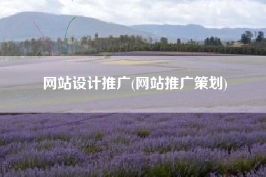 网站设计推广(网站推广策划)