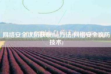 网络安全攻防获取flag方法(网络安全攻防技术)