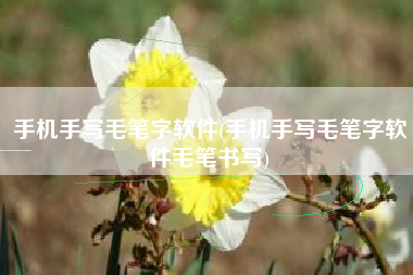 手机手写毛笔字软件(手机手写毛笔字软件毛笔书写)