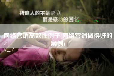 网络营销高效性例子(网络营销做得好的案例)