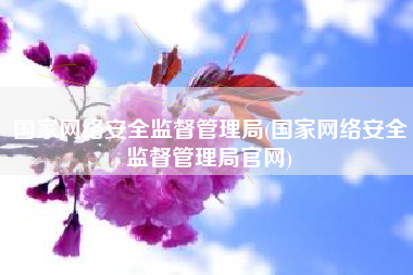 国家网络安全监督管理局(国家网络安全监督管理局官网)