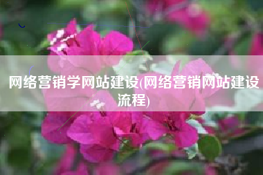 网络营销学网站建设(网络营销网站建设流程)