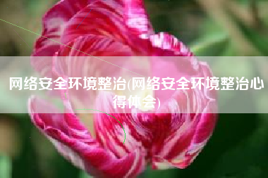 网络安全环境整治(网络安全环境整治心得体会)