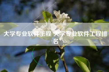 大学专业软件工程 大学专业软件工程排名