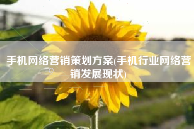 手机网络营销策划方案(手机行业网络营销发展现状)