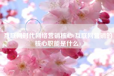 互联网时代网络营销核心(互联网营销的核心职能是什么)