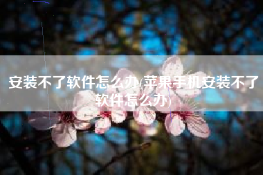 安装不了软件怎么办(苹果手机安装不了软件怎么办)