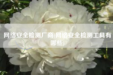 网络安全检测厂商(网络安全检测工具有哪些)