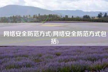 网络安全防范方式(网络安全防范方式包括)