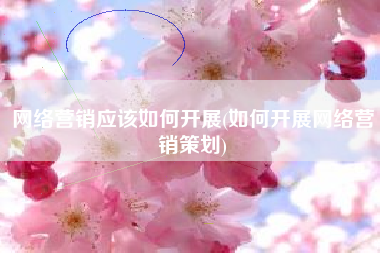 网络营销应该如何开展(如何开展网络营销策划)