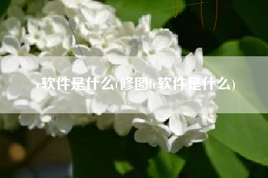 r软件是什么(修图lr软件是什么)
