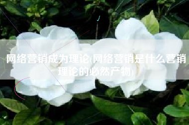 网络营销成为理论(网络营销是什么营销理论的必然产物)