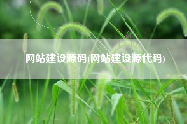 网站建设源码(网站建设源代码)