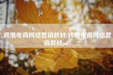 跨境电商网络营销教材(跨境电商网络营销教材pdf)