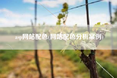 asp网站配色(网站配色分析案例)