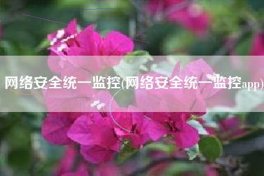 网络安全统一监控(网络安全统一监控app)