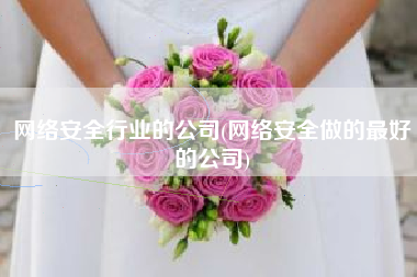 网络安全行业的公司(网络安全做的最好的公司)