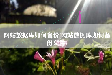 网站数据库如何备份(网站数据库如何备份文件)