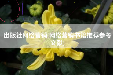 出版社网络营销(网络营销书籍推荐参考文献)