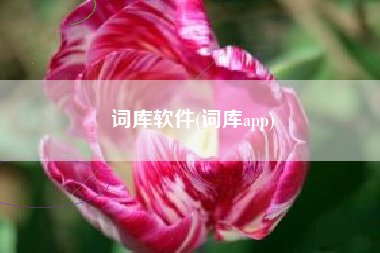 词库软件(词库app)