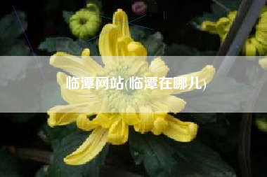 临潭网站(临潭在哪儿)