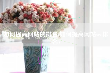 如何提高网站的排名(如何提高网站seo排名)