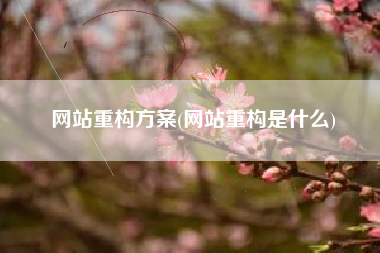 网站重构方案(网站重构是什么)