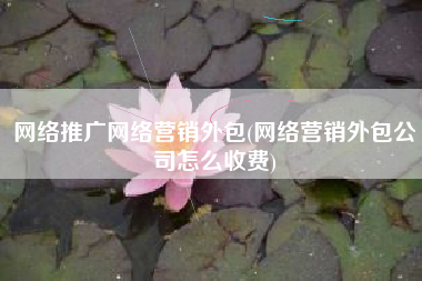 网络推广网络营销外包(网络营销外包公司怎么收费)