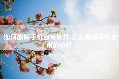 如何删除手机自带软件(怎么删掉手机自带的软件)