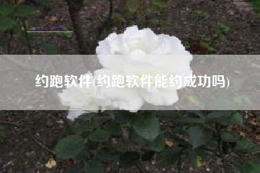 约跑软件(约跑软件能约成功吗)