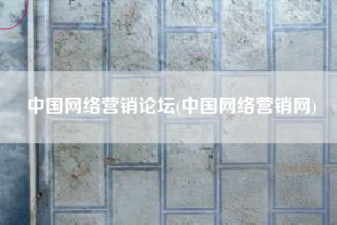 中国网络营销论坛(中国网络营销网)