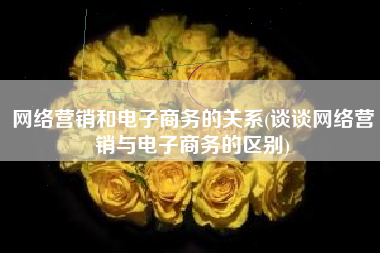 网络营销和电子商务的关系(谈谈网络营销与电子商务的区别)