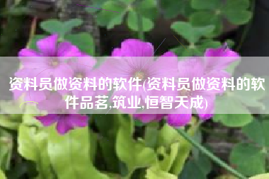 资料员做资料的软件(资料员做资料的软件品茗,筑业,恒智天成)
